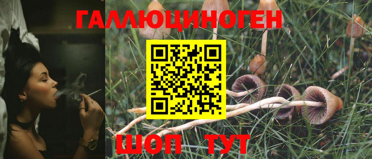 Псилоцибиновые грибы MAGIC MUSHROOMS  Галлюциногенные грибы прущие грибы  Вход с VPN  Чайковский 